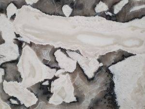 oyster white closeup