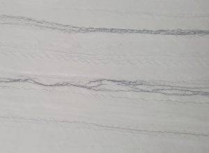 Silver Shadow Leathered Close Up