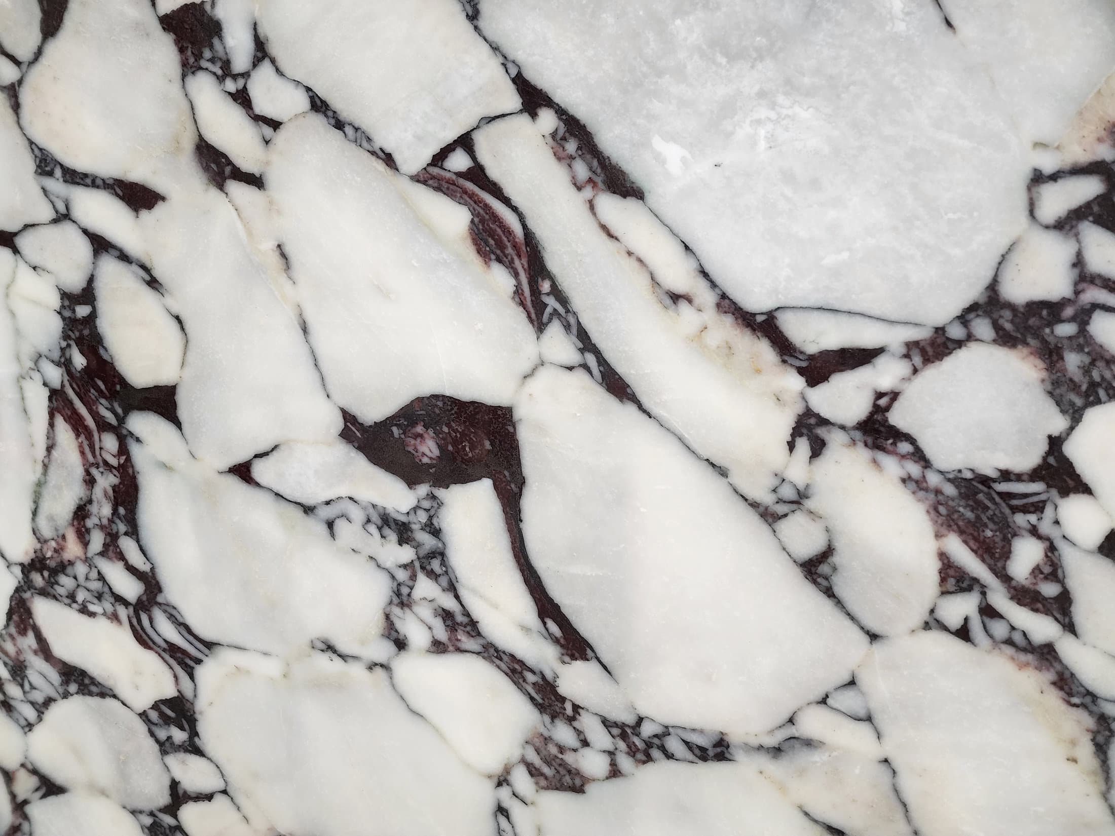 Calacatta Viola Extra Marble Close Up