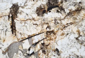 Blanc du Blanc Closeup