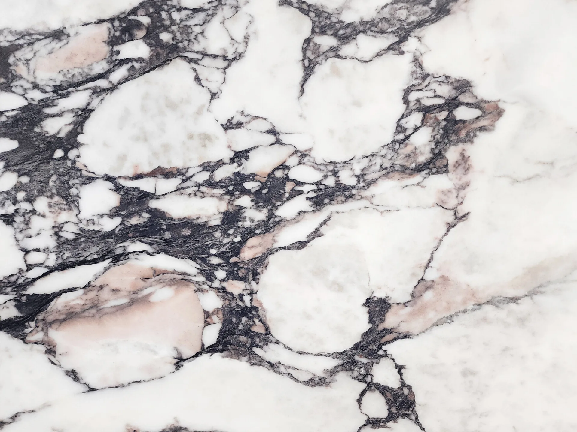 Calacatta Viola Honed Porcelain Close Up